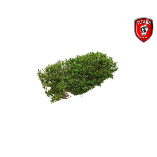 titans-hobby-214-shrubbery-v-g-tation-15x15-vert-printemps image 1