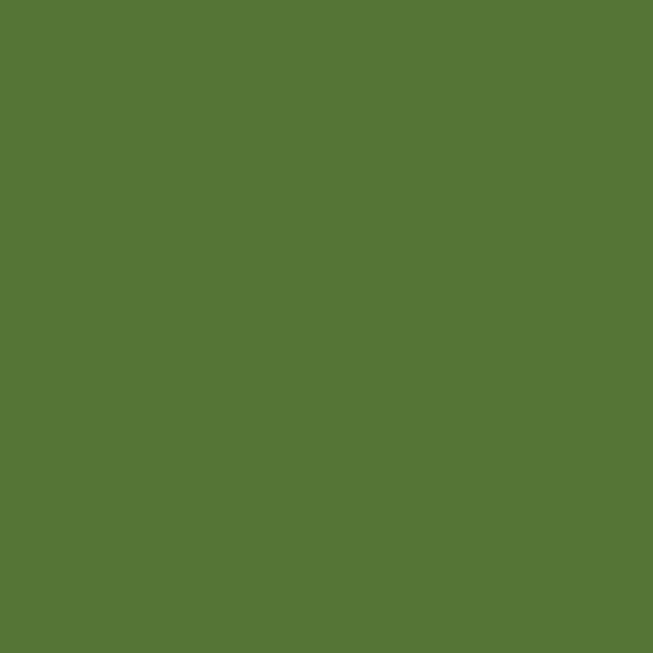 mission-models-mmp-034-nato-green-peinture-blind-1oz image 1