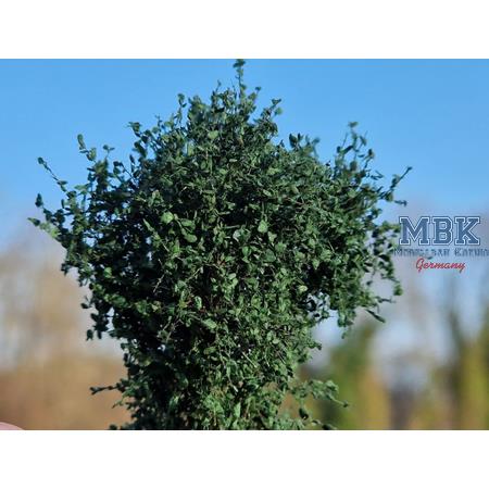 hagermann-hh-hgbg0424-buissons-haies-vert-fonc-x6 image 1
