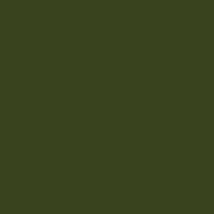 mission-models-modern-armor-peinture-maquette-mmp-128-idf-green-1oz-mat image 1