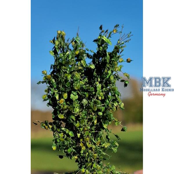 hagermann-hgbb0124-buissons-haies-vertes-40-60mm-1-35 image 1