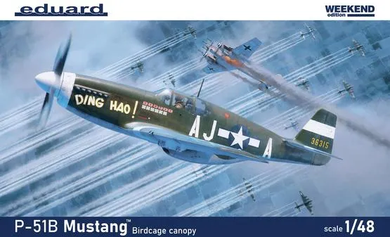 eduard-84209-p-51b-mustang-birdcage-maquette-avion-1-48 image 1
