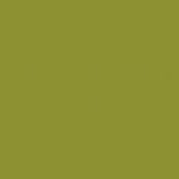 mission-models-russian-mmp-085-peinture-acrylique-4b0-vert-1oz image 1