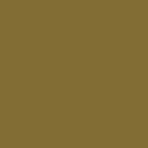mission-models-mmp-017-gr-nbraun-ral8000-peinture-1oz image 1