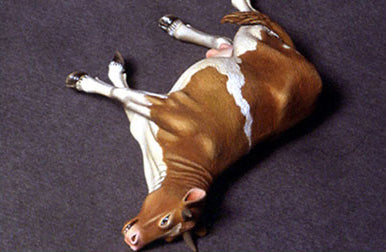 def-model-do35a02-dead-cow-figurine-1-35-r-sine image 1