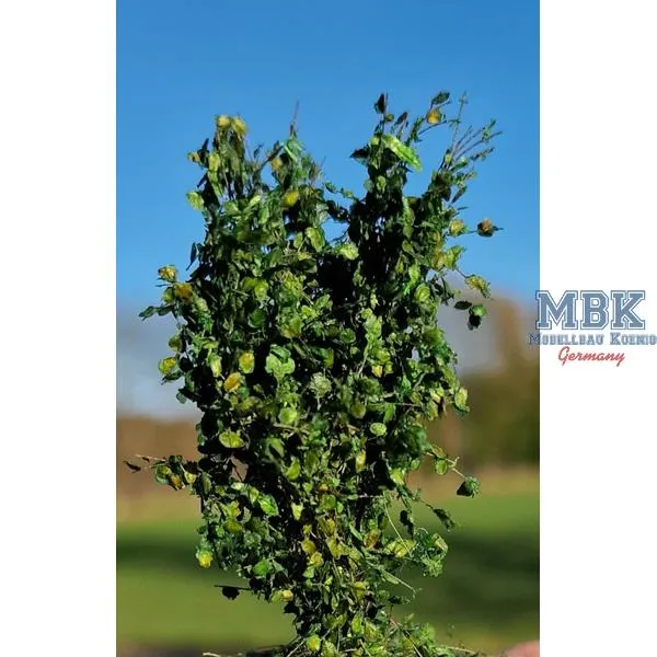 hagermann-hgbb0124-buissons-haies-vertes-40-60mm-1-35 image 1