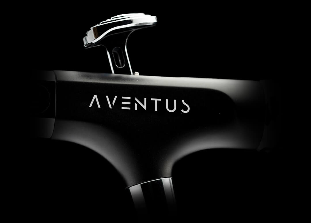 gaahleri-aventus-black-aurora-a-rographe-double-action image 3