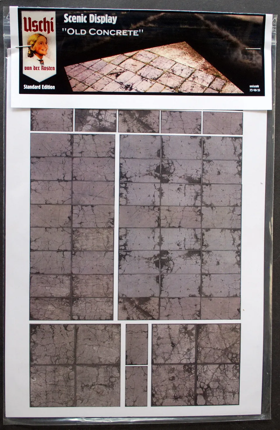 uschi-old-concrete-deluxe-d-cor-diorama-1-72 image 1