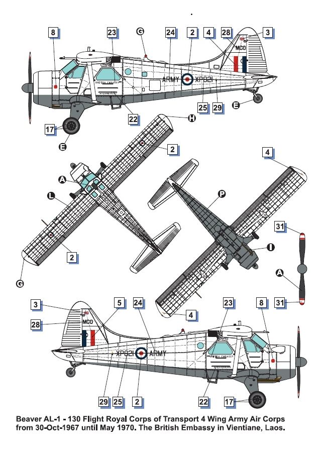 dora-wings-beaver-al-1-dhc-2-maquette-avion-1-48-liaison image 4