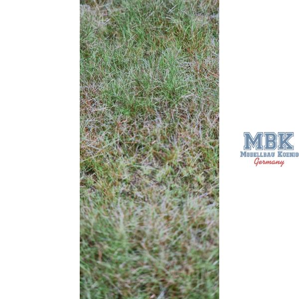 hagermann-hh-hgwh0225-tapis-herbe-automne-a4-diorama image 2