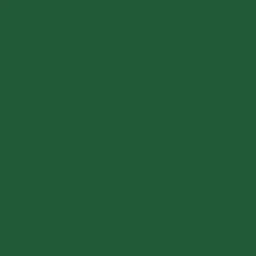 mission-models-basic-colors-mmp-004-peinture-maquette-vert-30-ml image 1