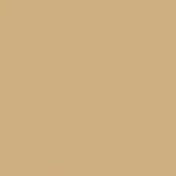 mission-models-mmp-010-peinture-maquette-gelbbraun-ral8020-1oz image 1