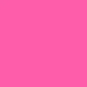 mission-models-rc-mmrc-051-peinture-rc-rose-fluo-racing-60ml image 1