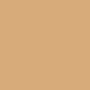 mission-models-rc-mmrc-009-peinture-rc-beige-mat-60ml image 1