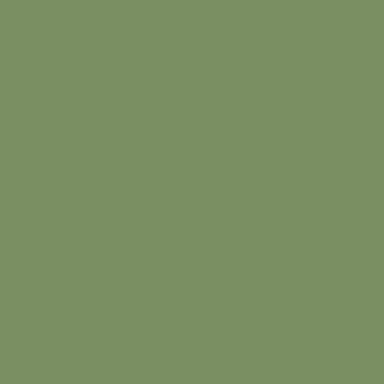 mission-models-british-aircraft-mmp-079-peinture-raf-interior-green-1oz image 1