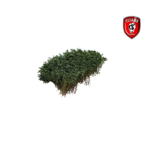 titans-hobby-207-shrubbery-v-g-tation-diorama-vert-15x15 image 1