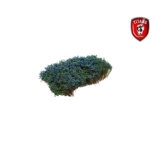 titans-hobby-211-v-g-tation-diorama-blooming-blue-15x15 image 1